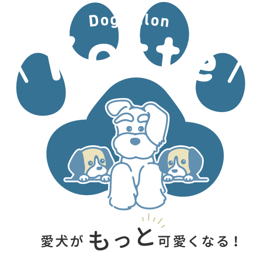 浜松市中区でトリミングサロン・ドッグサロンをお探しなら小型犬専門の当店がおすすめです。