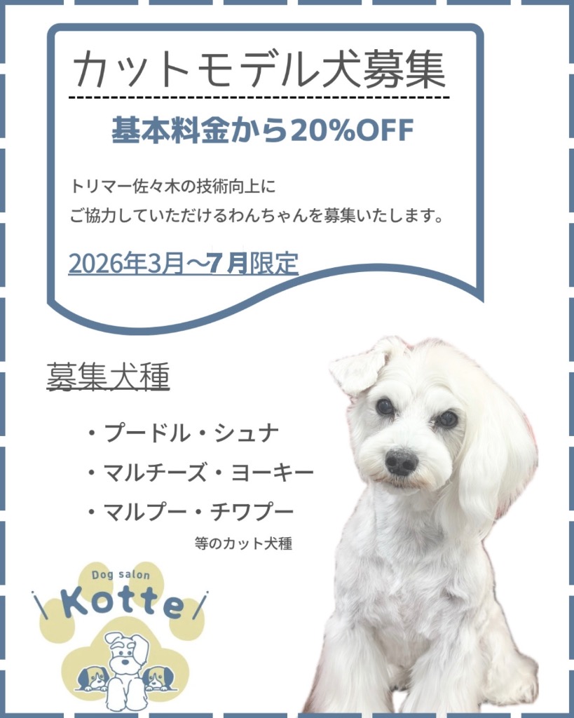 ※カットモデル募集期間延長のお知らせ✂︎