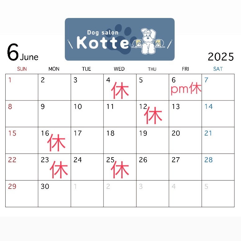 6月の営業スケジュール🐾
