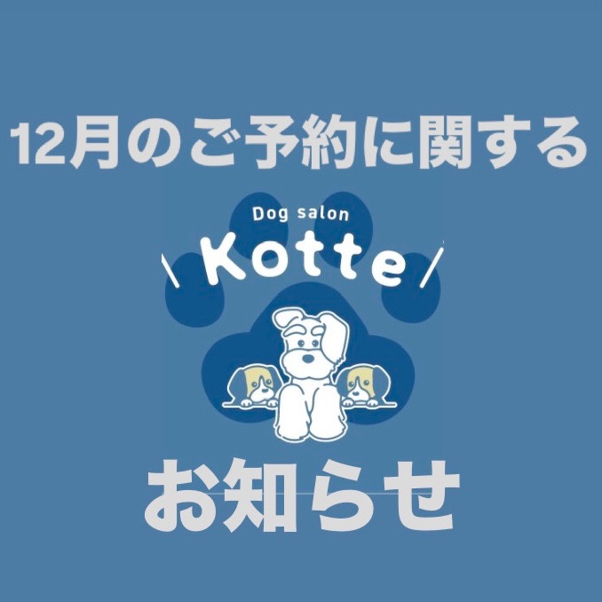 12月のご予約に関するお知らせ🐾