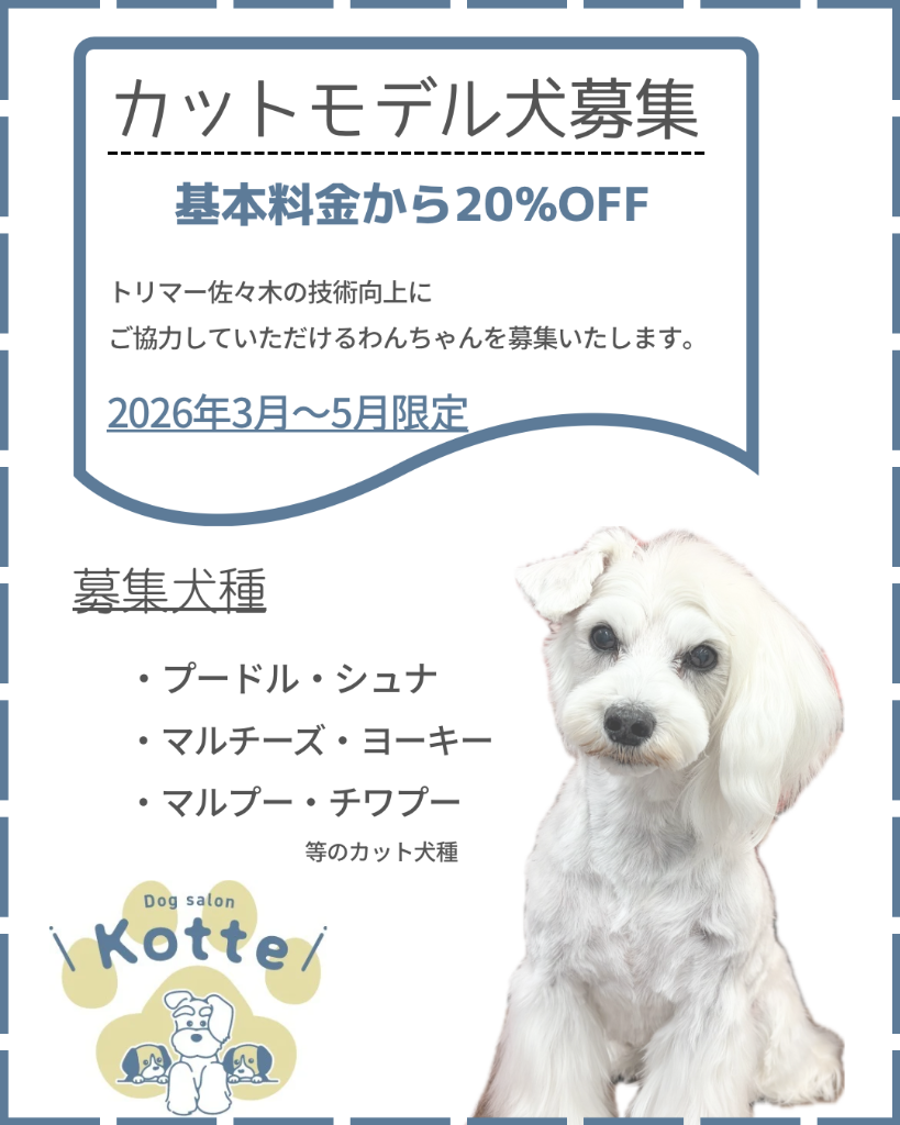 ※カットモデル募集中✂︎