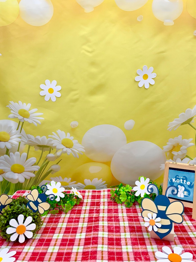 newフォトブース📷