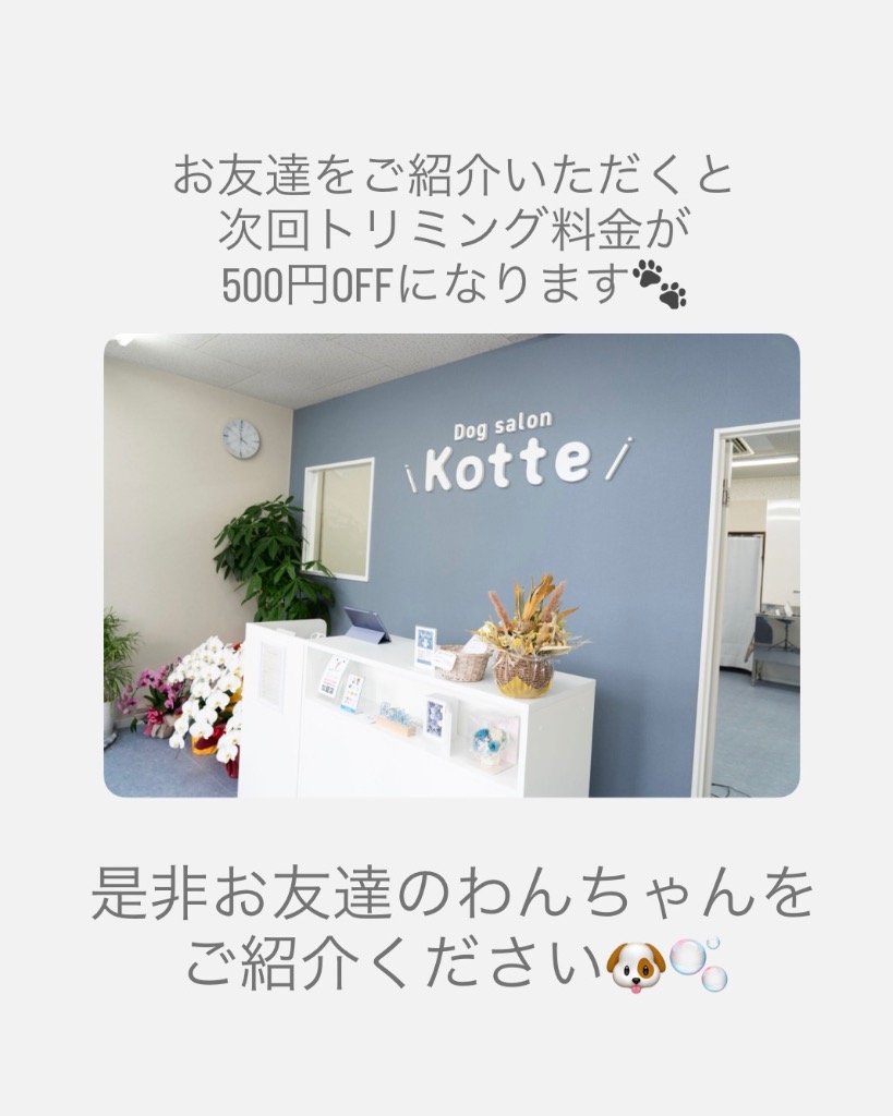 ご紹介割引のご案内🐾