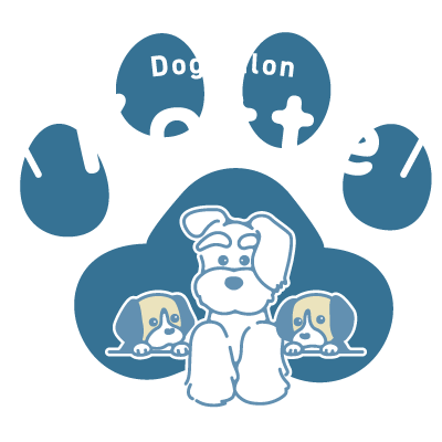 浜松市中区でトリミングサロン・ドッグサロンをお探しなら小型犬専門の当店がおすすめです。