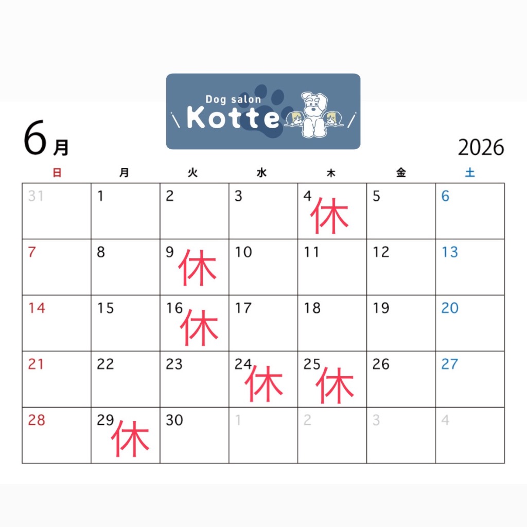 6月の営業スケジュール🐾